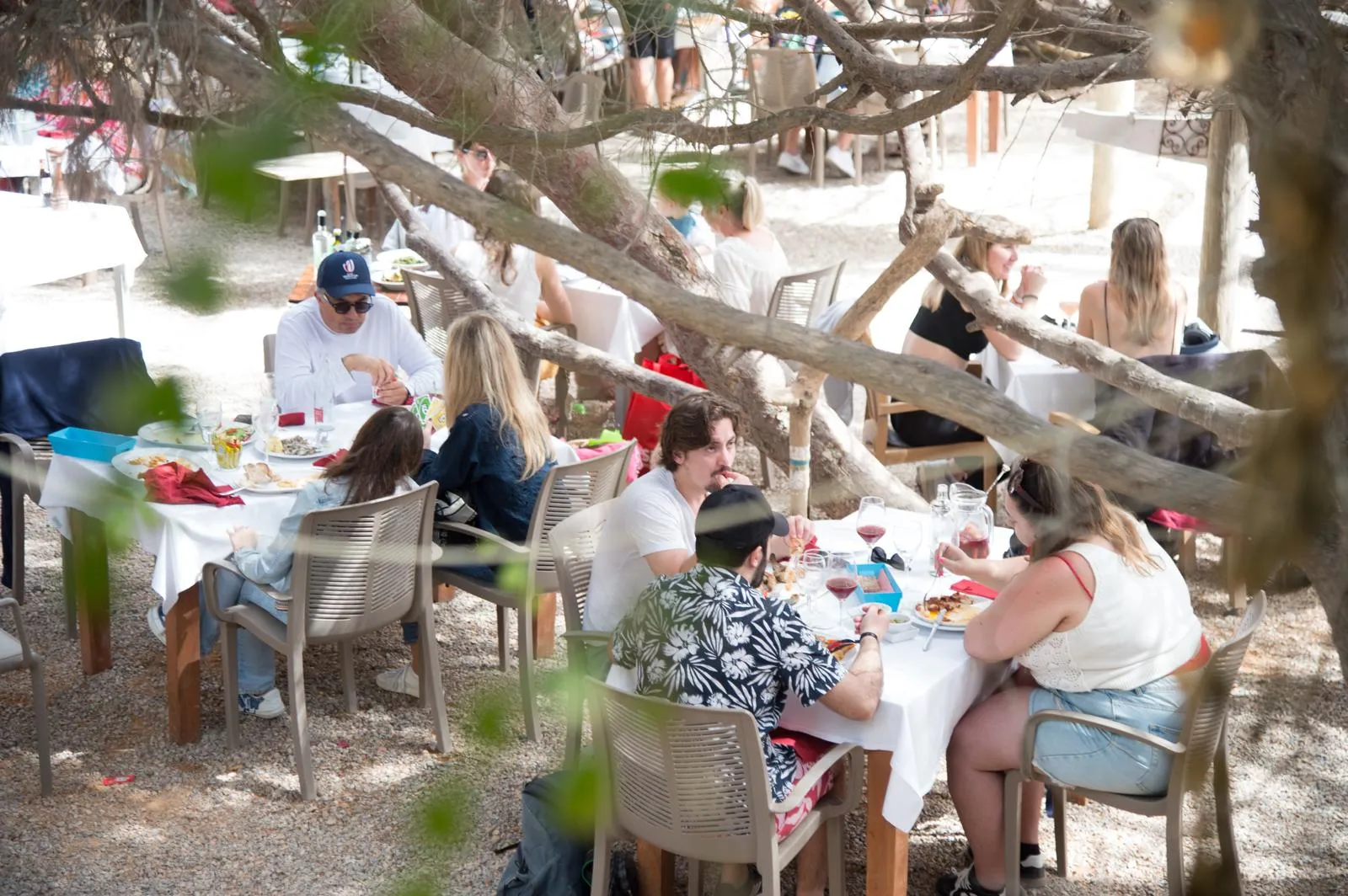 Repas à Es Jardí à l'ombre des pins et des genévriers